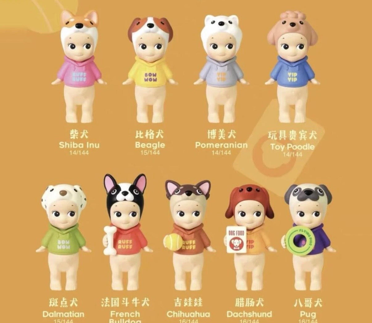 dog time series 🐶🐾🦴✨